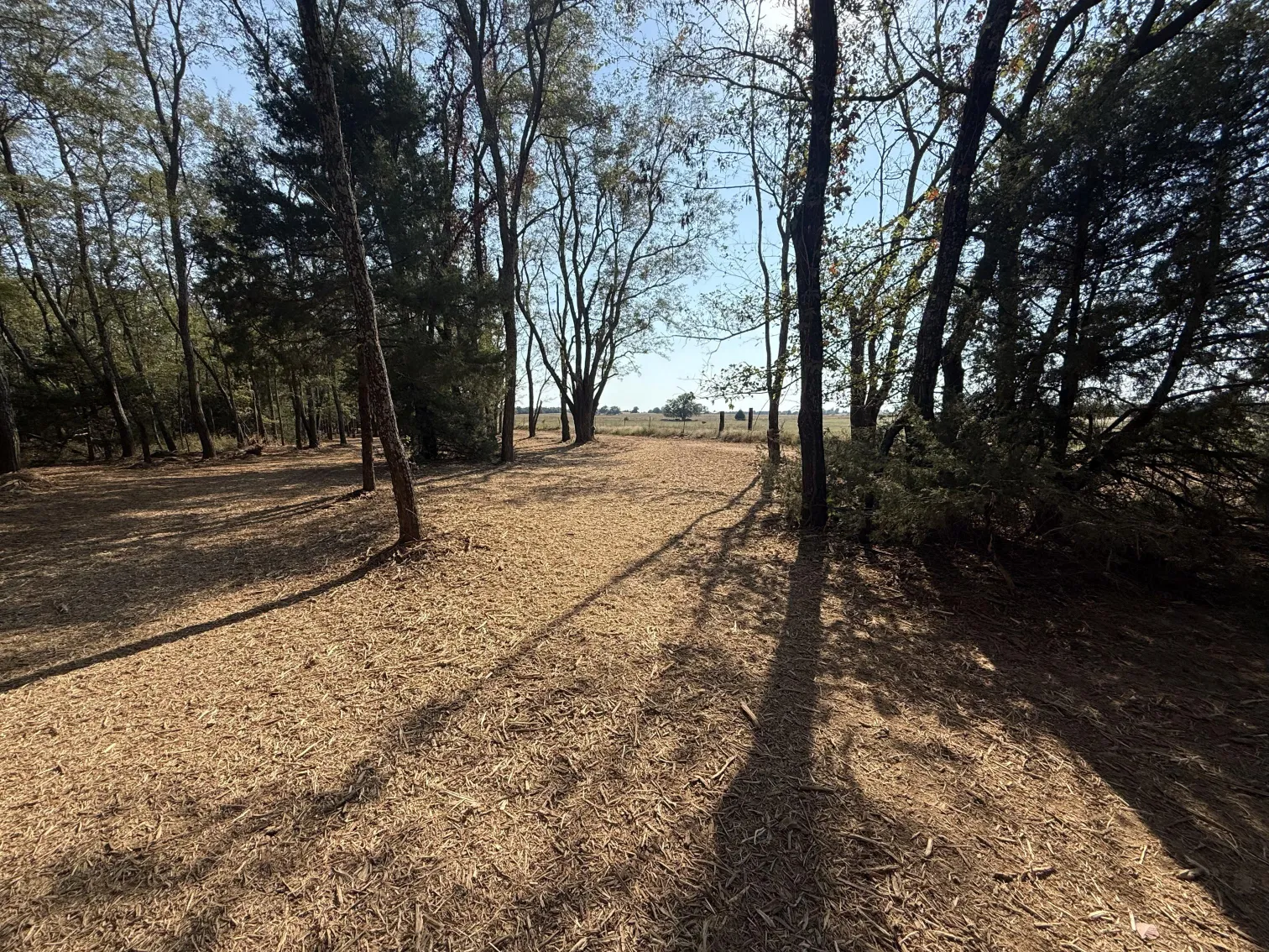 Malone land works mulching forestry oklahoma After